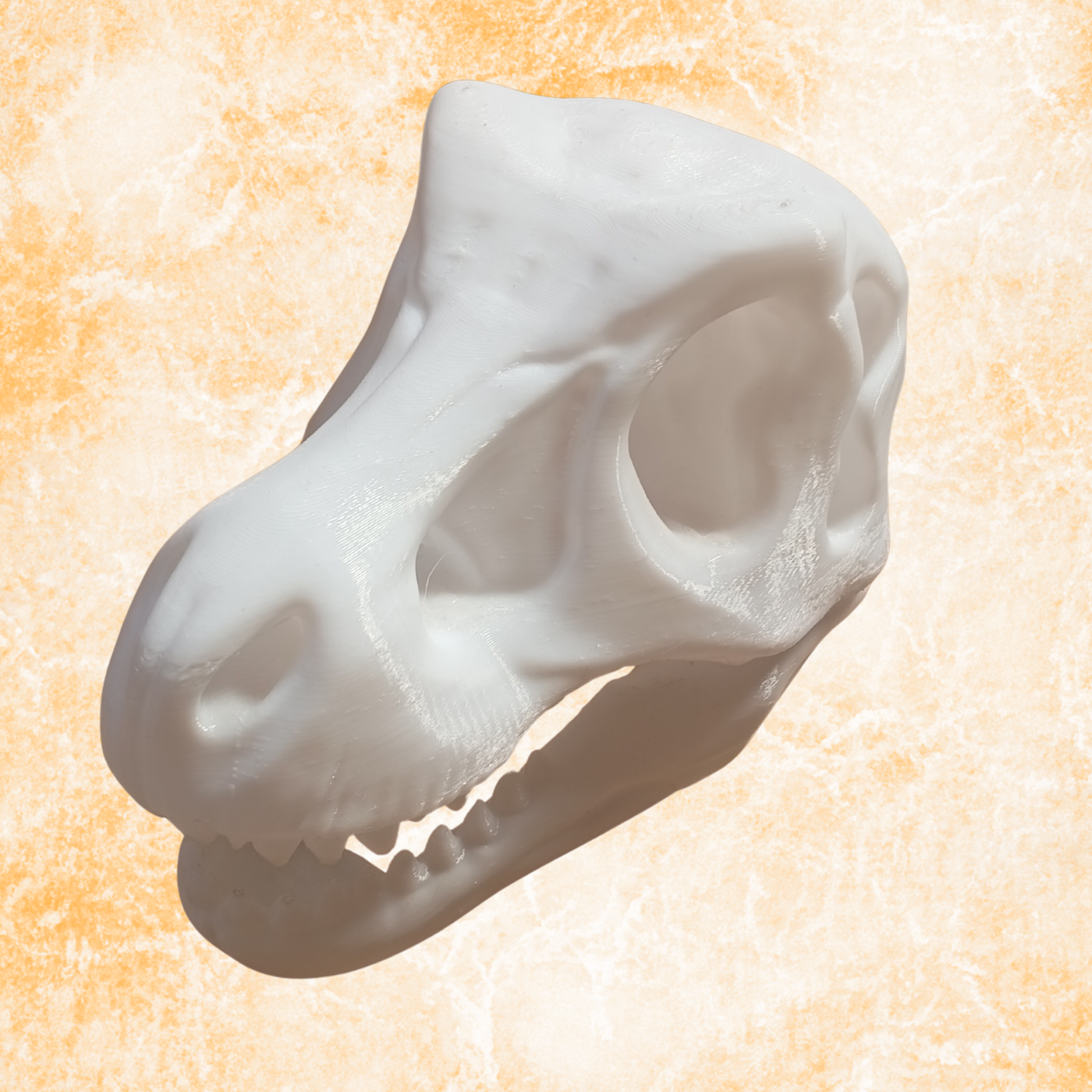 Dinosaur Skull Sculpture – Modern Prehistoric Decor Statue, (11cm)