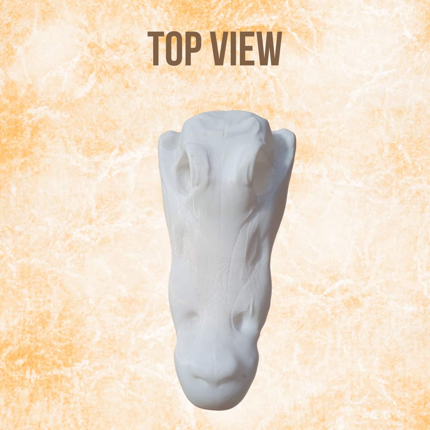 Crocodile Skull Sculpture – Modern Minimalist Animal Skull Decor, (20cm)