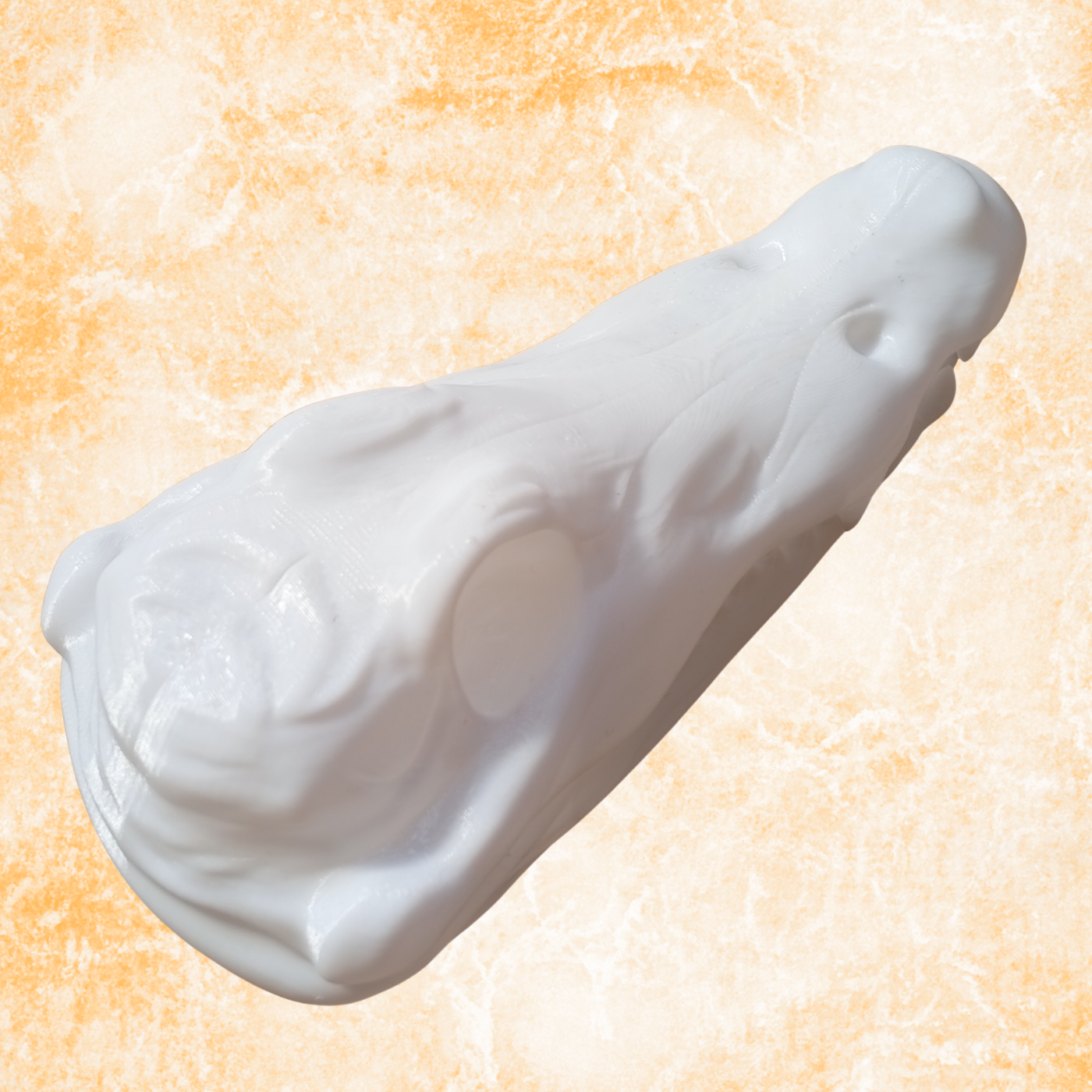 Crocodile Skull Sculpture – Modern Minimalist Animal Skull Decor, (20cm)