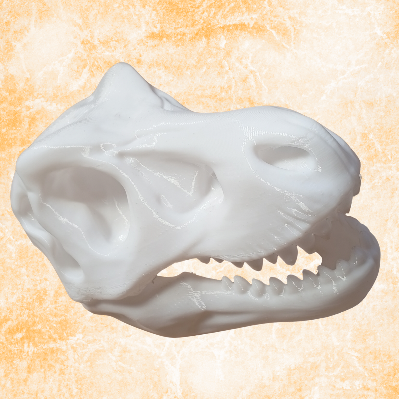 Dinosaur Skull Sculpture – Modern Prehistoric Decor Statue, (11cm)