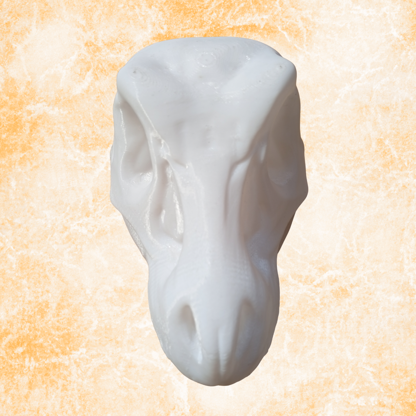 Dinosaur Skull Sculpture – Modern Prehistoric Decor Statue, (11cm)