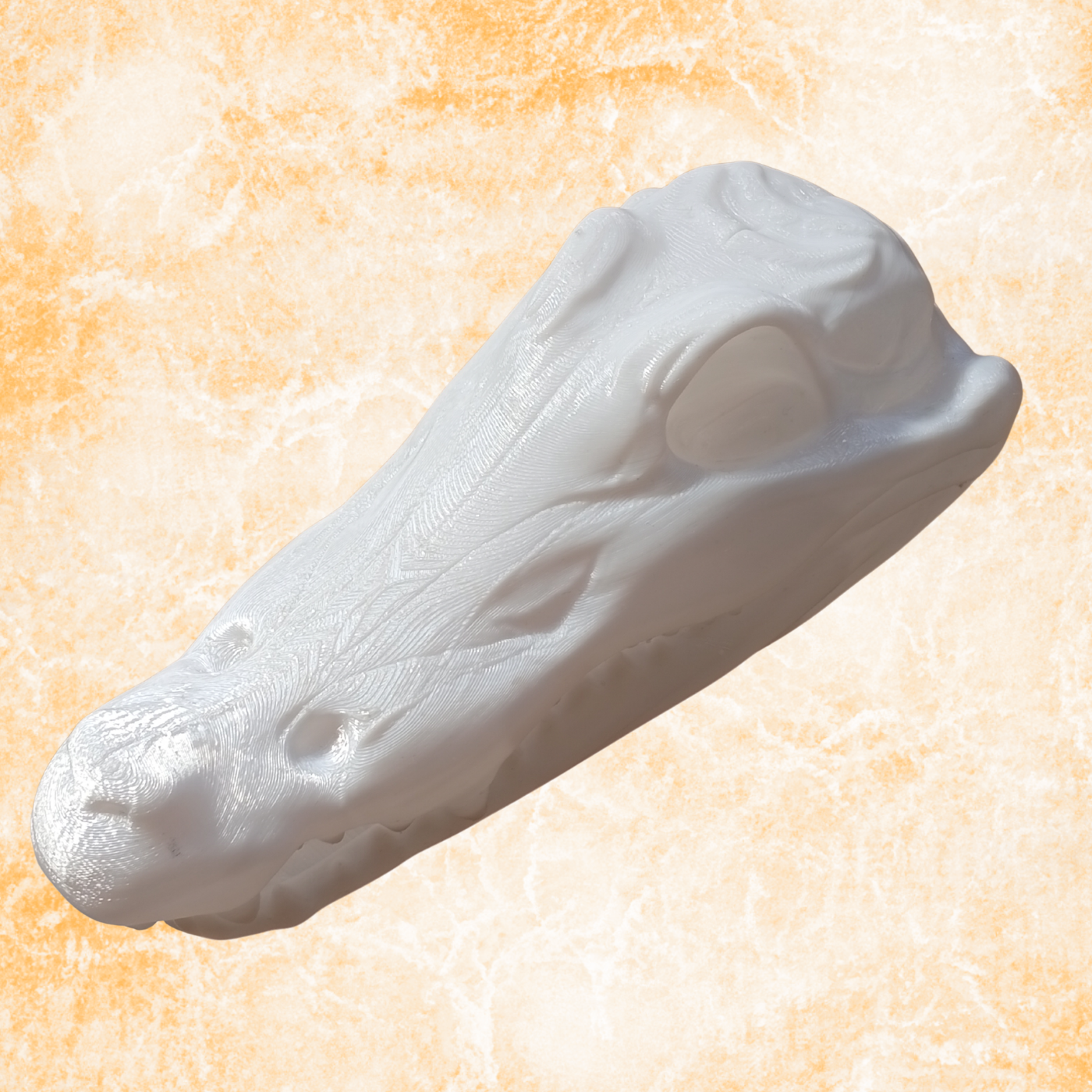Crocodile Skull Sculpture – Modern Minimalist Animal Skull Decor, (20cm)