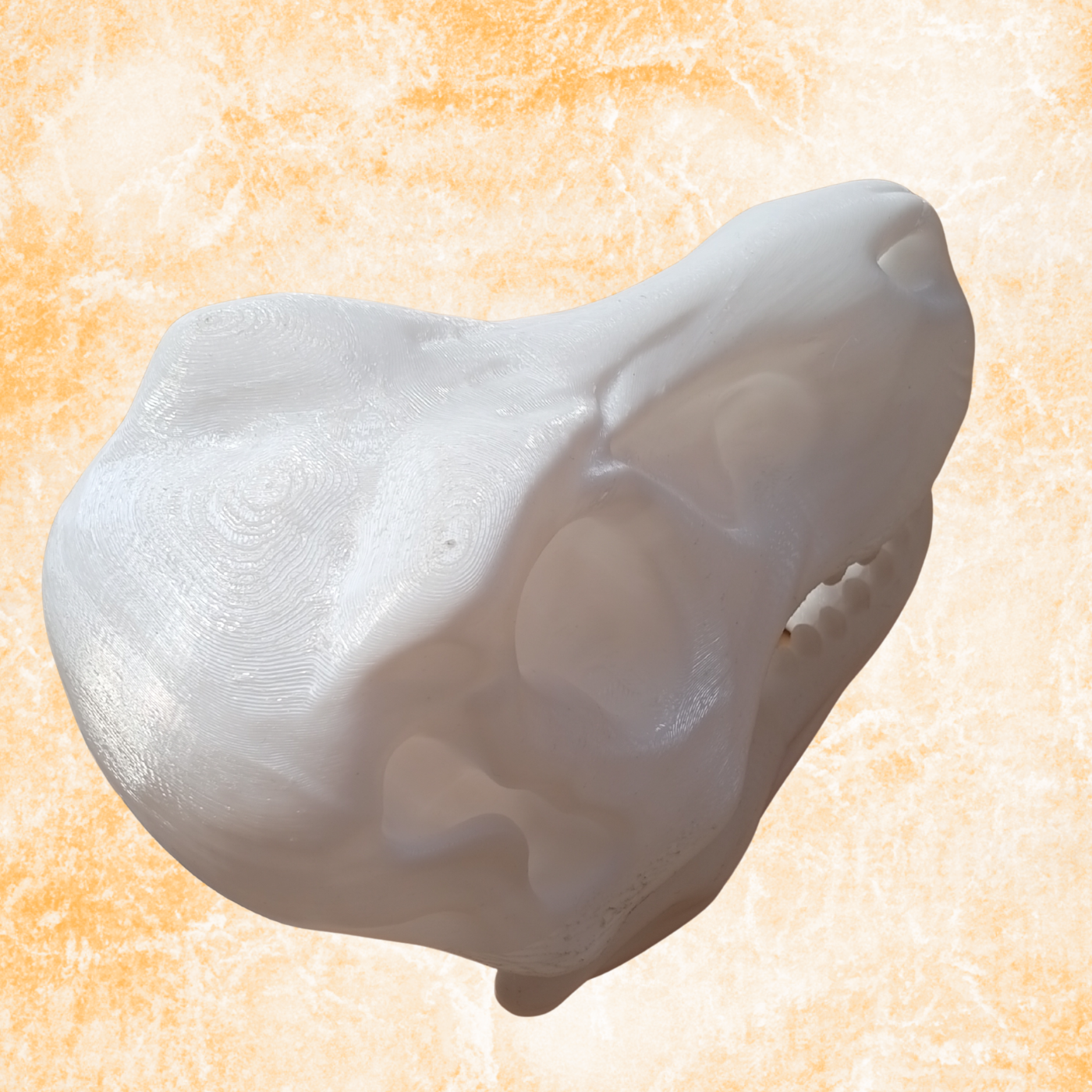 Dinosaur Skull Sculpture – Modern Prehistoric Decor Statue, (11cm)