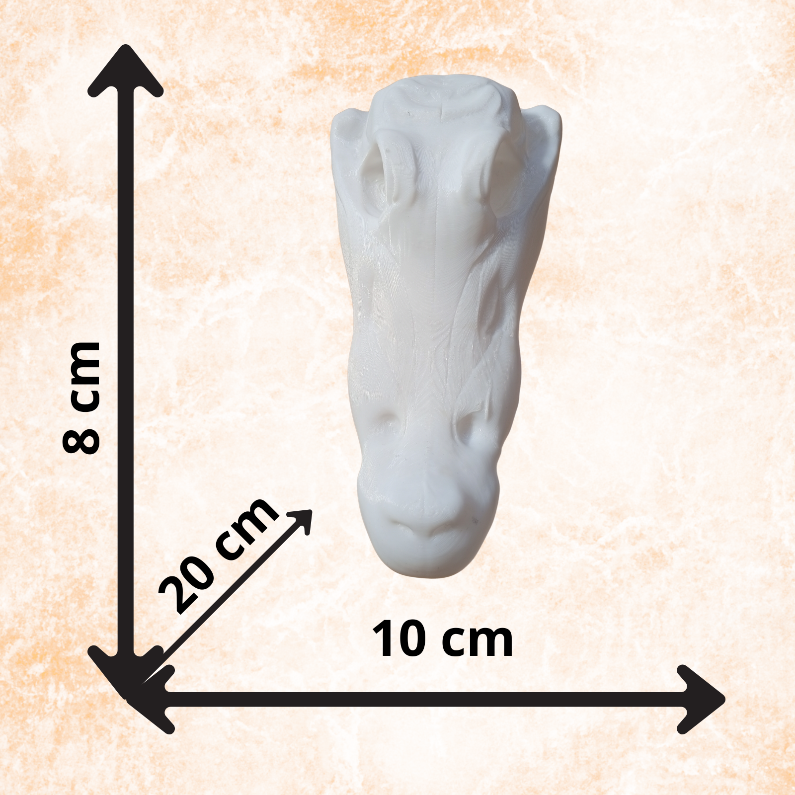 Crocodile Skull Sculpture – Modern Minimalist Animal Skull Decor, (20cm)