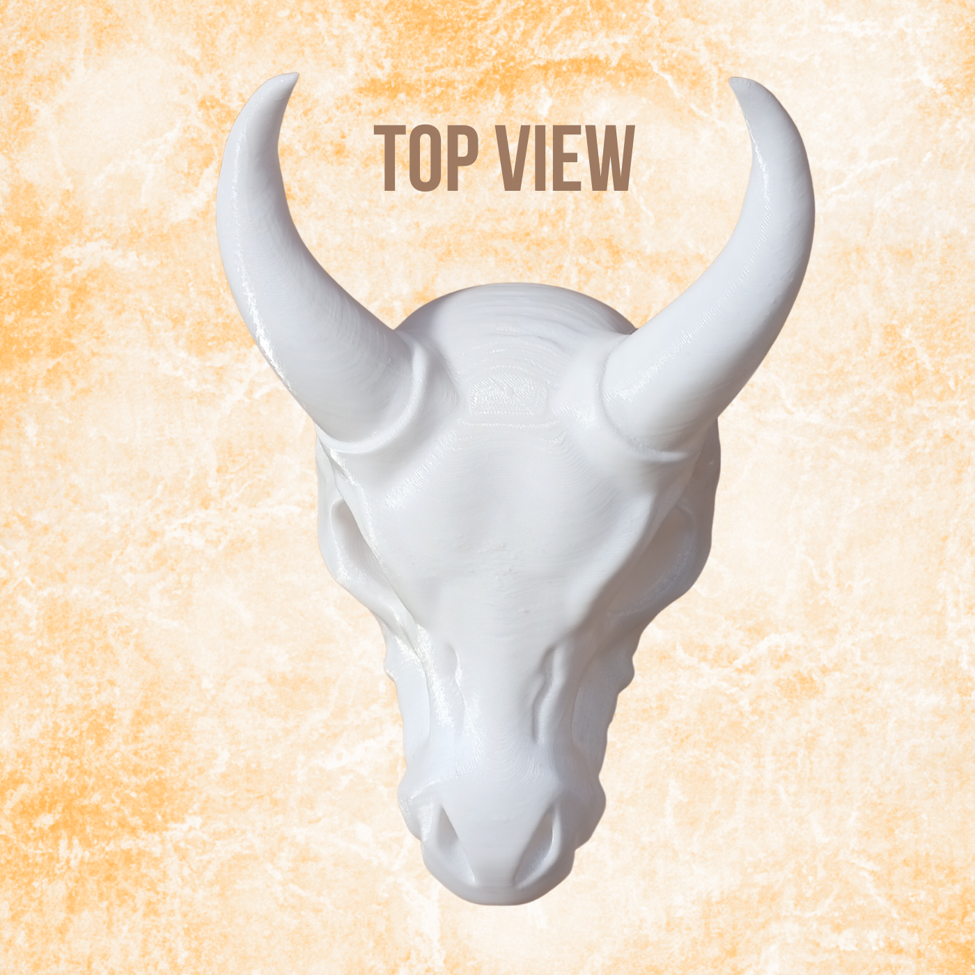Big Dragon Skull Sculpture, White Minimalist Dragon Head Ornament, 16cm