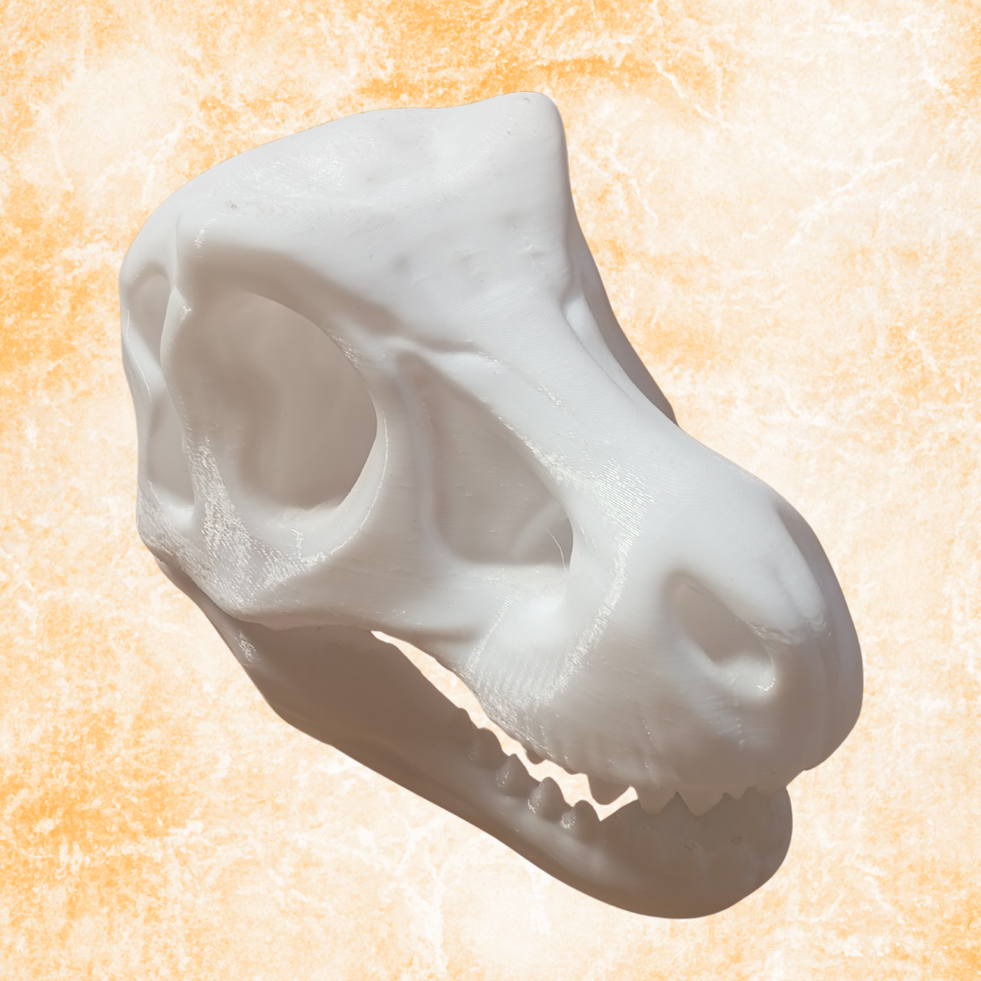 Dinosaur Skull Sculpture – Modern Prehistoric Decor Statue, (11cm)