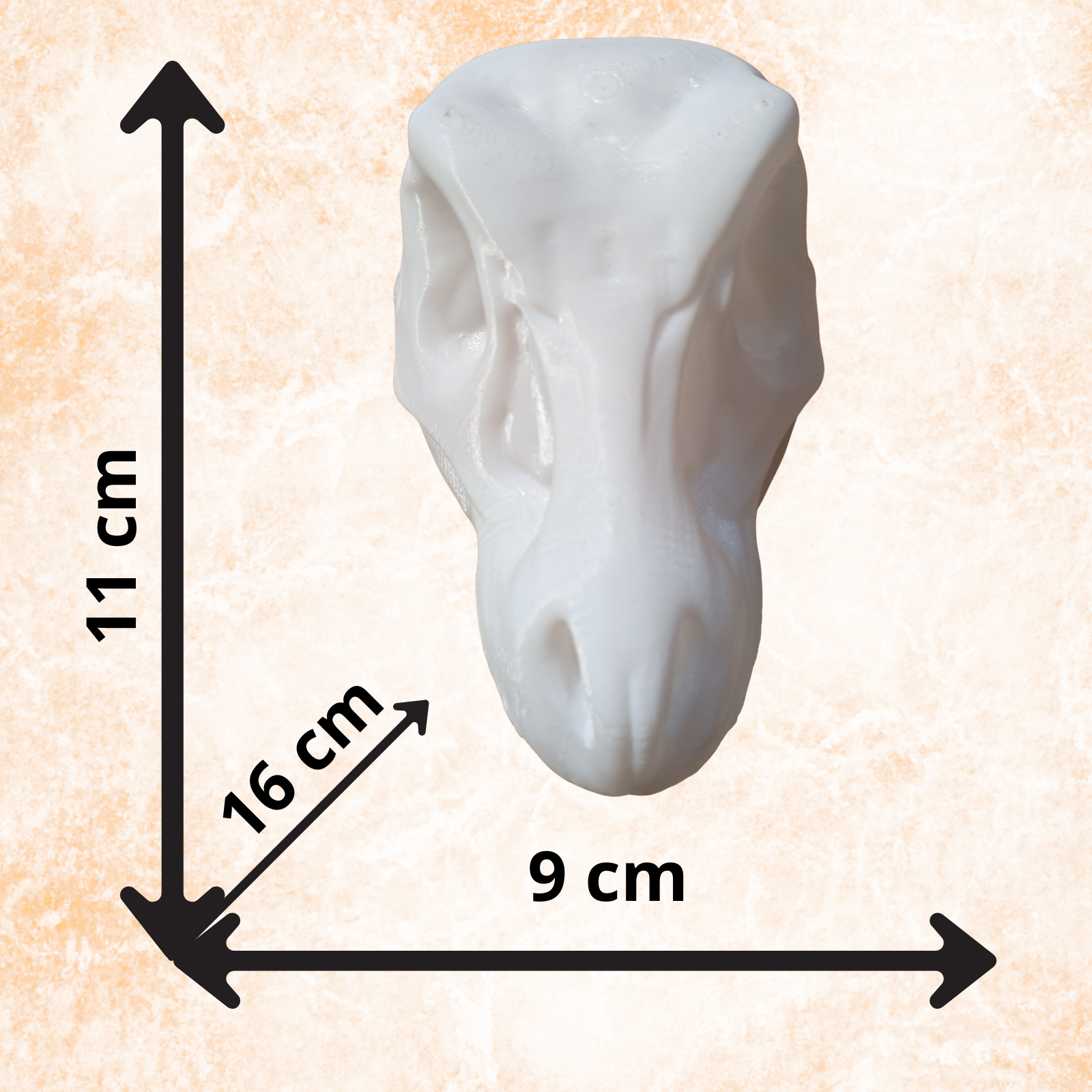 Dinosaur Skull Sculpture – Modern Prehistoric Decor Statue, (11cm)