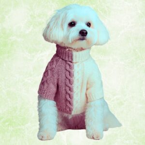 Hand-Knitted Dog Sweater